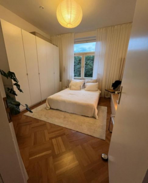 Altstadt Apartment